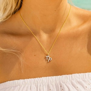  - CAPRICORN ZODIAC NECKLACE