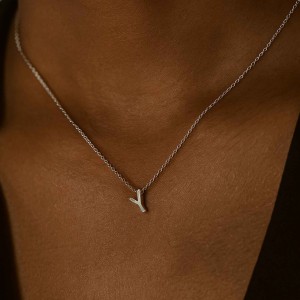  - MINI Y INITIAL NECKLACE (1)