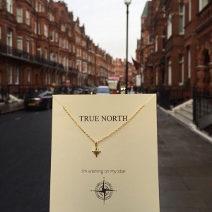 TRUE NORTH TINY NECKLACE - Thumbnail