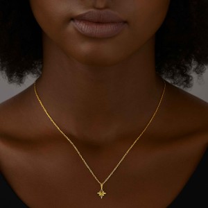 - TRUE NORTH TINY NECKLACE (1)