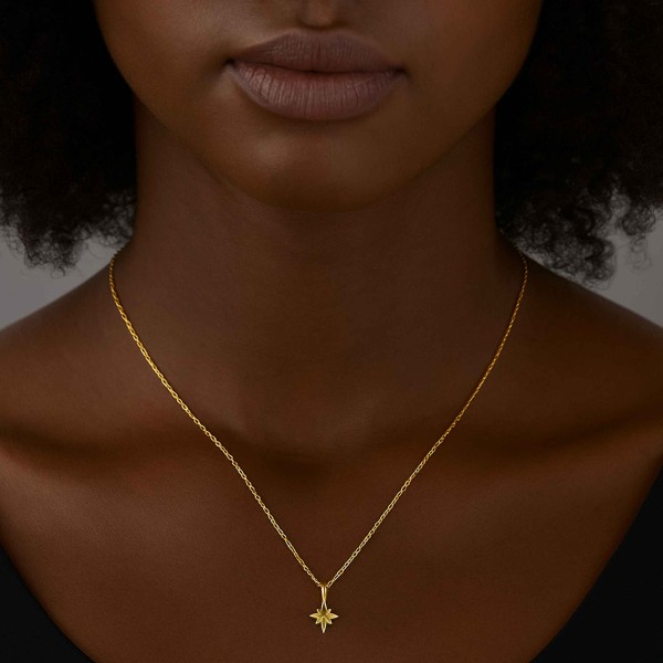 TRUE NORTH TINY NECKLACE